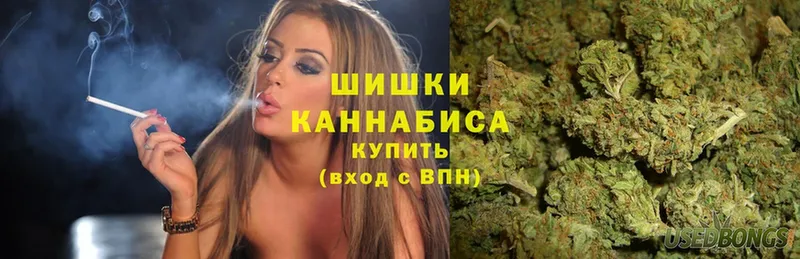 закладки  мориарти как зайти  Шишки марихуана White Widow  Слюдянка 